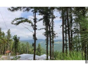 Building Lot for sale in Sora