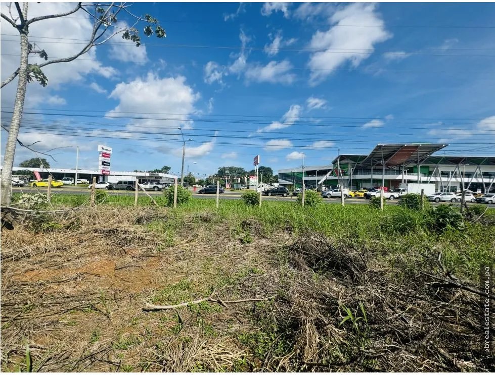 Venta de terreno en vía interamericana, David, Chiriquí