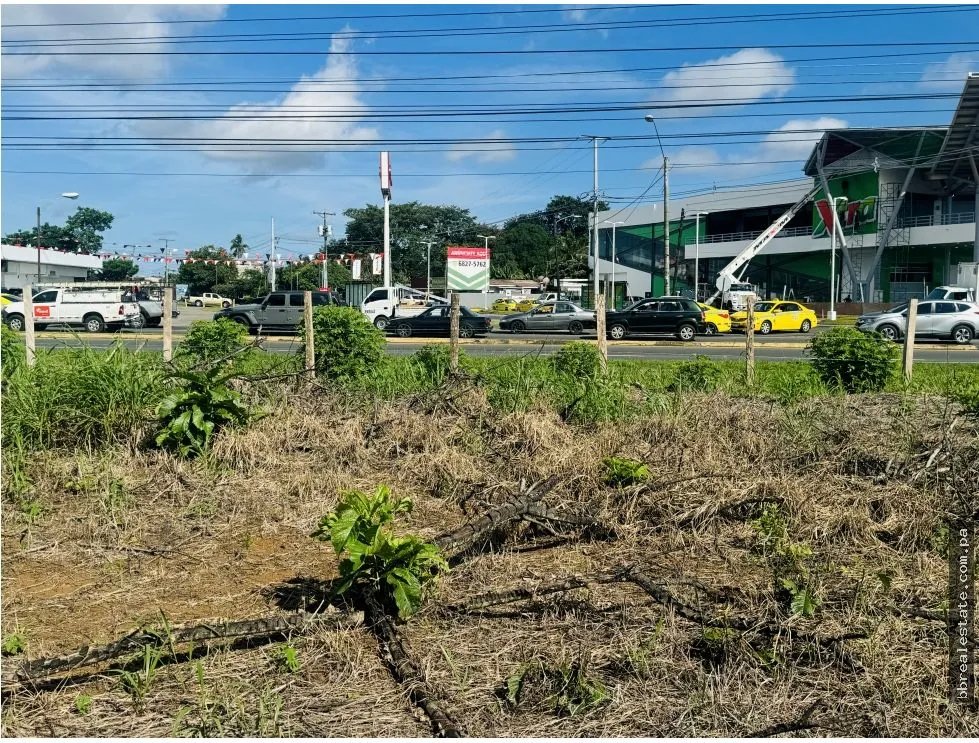 Venta de terreno en vía interamericana, David, Chiriquí