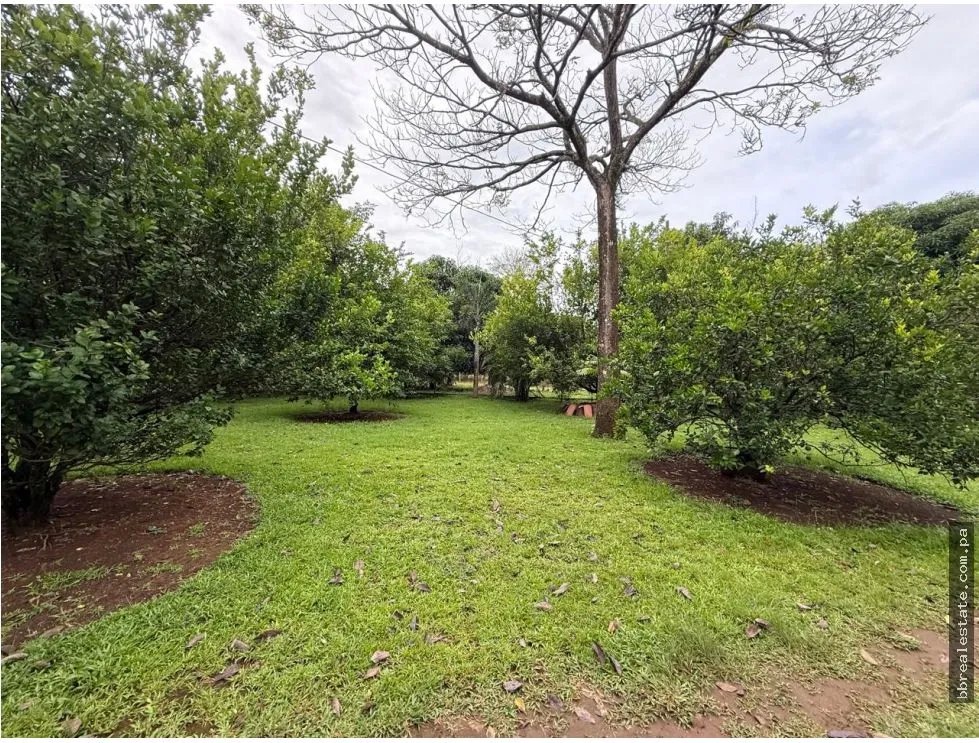 Venta de finca en Balita, Tinajas, Chiriquí