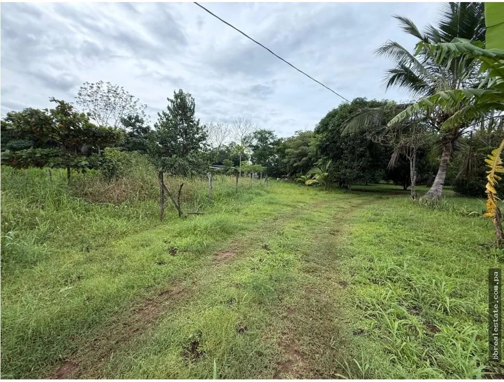 Venta de finca en Balita, Tinajas, Chiriquí