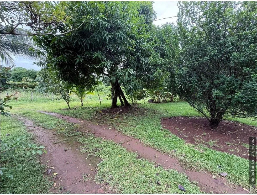 Venta de finca en Balita, Tinajas, Chiriquí