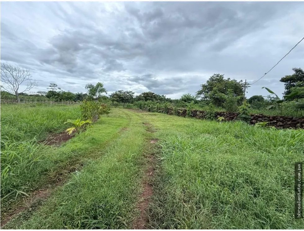 Venta de finca en Balita, Tinajas, Chiriquí