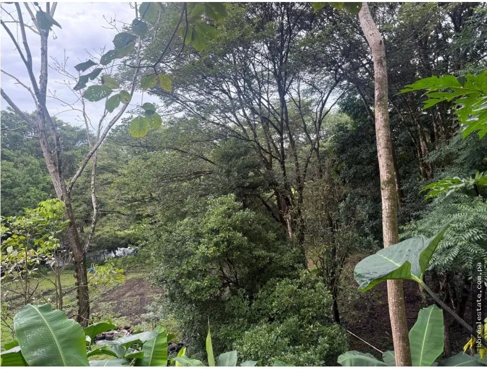 Land/Farm for sale in Dolega