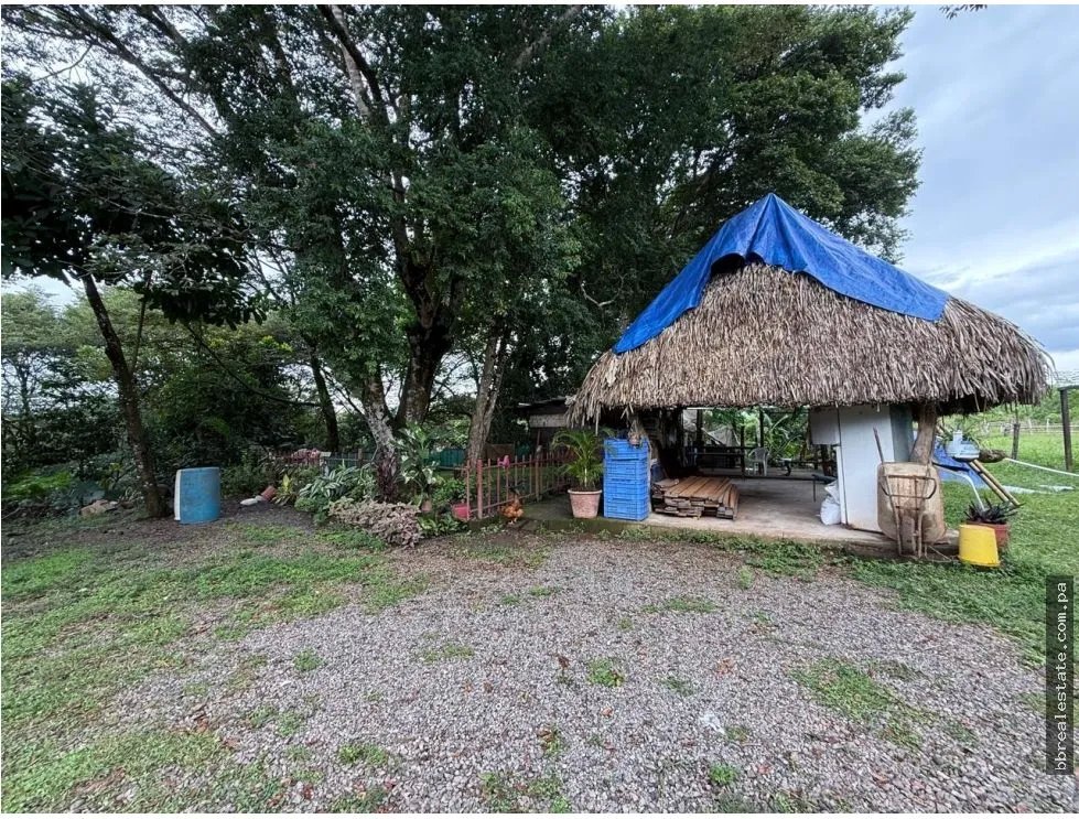 Land/Farm for sale in Dolega