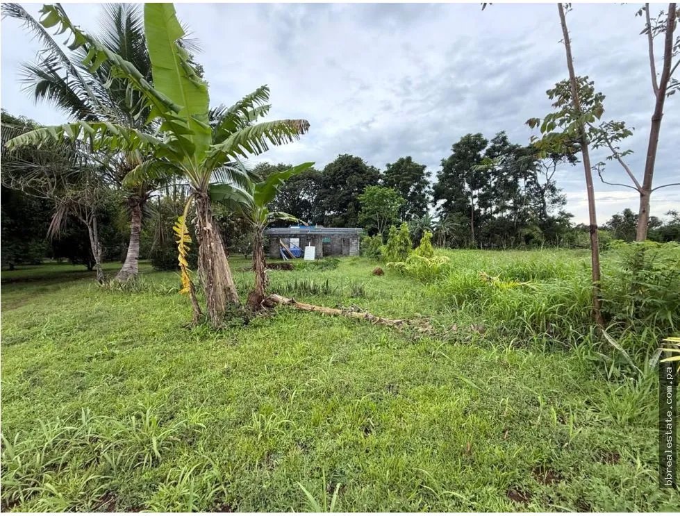 Land/Farm for sale in Dolega