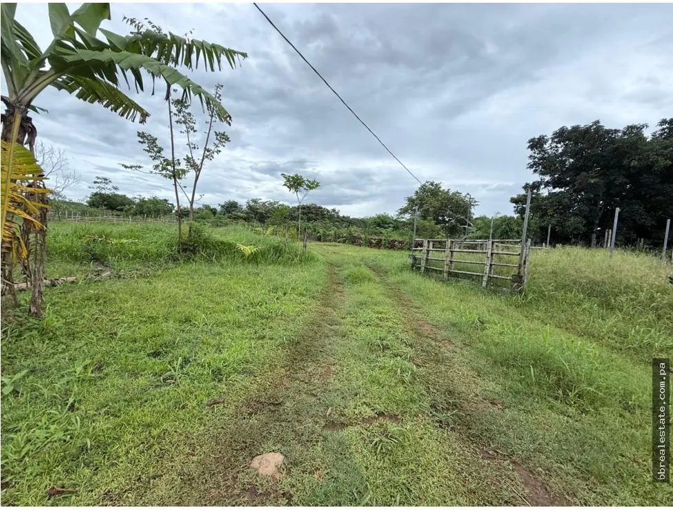Land/Farm for sale in Dolega