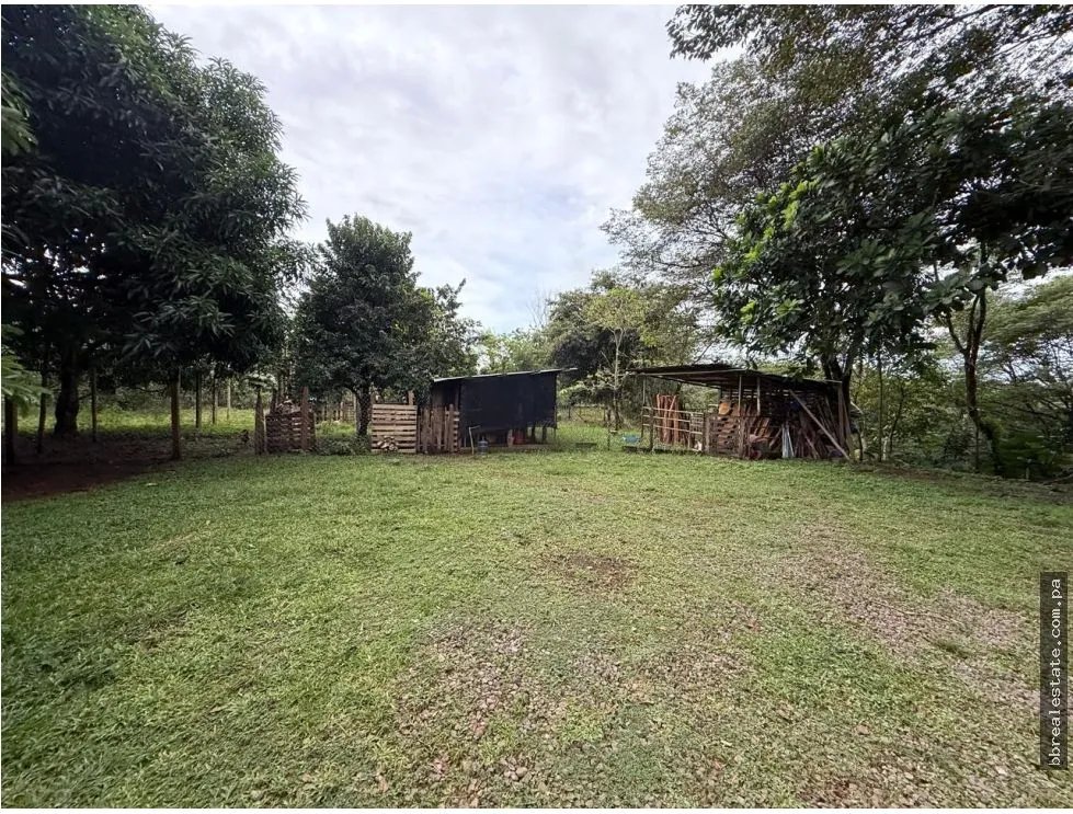 Land/Farm for sale in Dolega