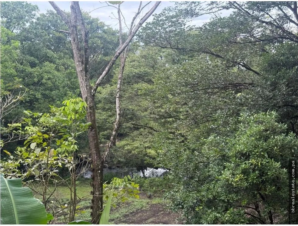 Land/Farm for sale in Dolega