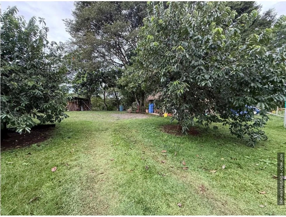 Land/Farm for sale in Dolega