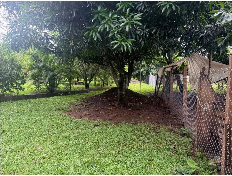 Land/Farm for sale in Dolega