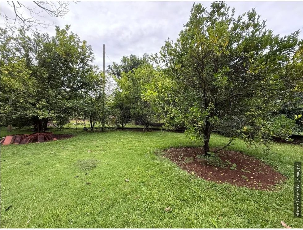 Land/Farm for sale in Dolega
