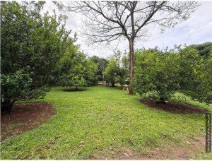 Land/Farm for sale in Dolega