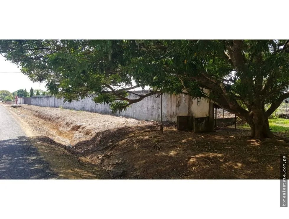 Venta de terreno con oficina en vía interamericana, David, San Pablo