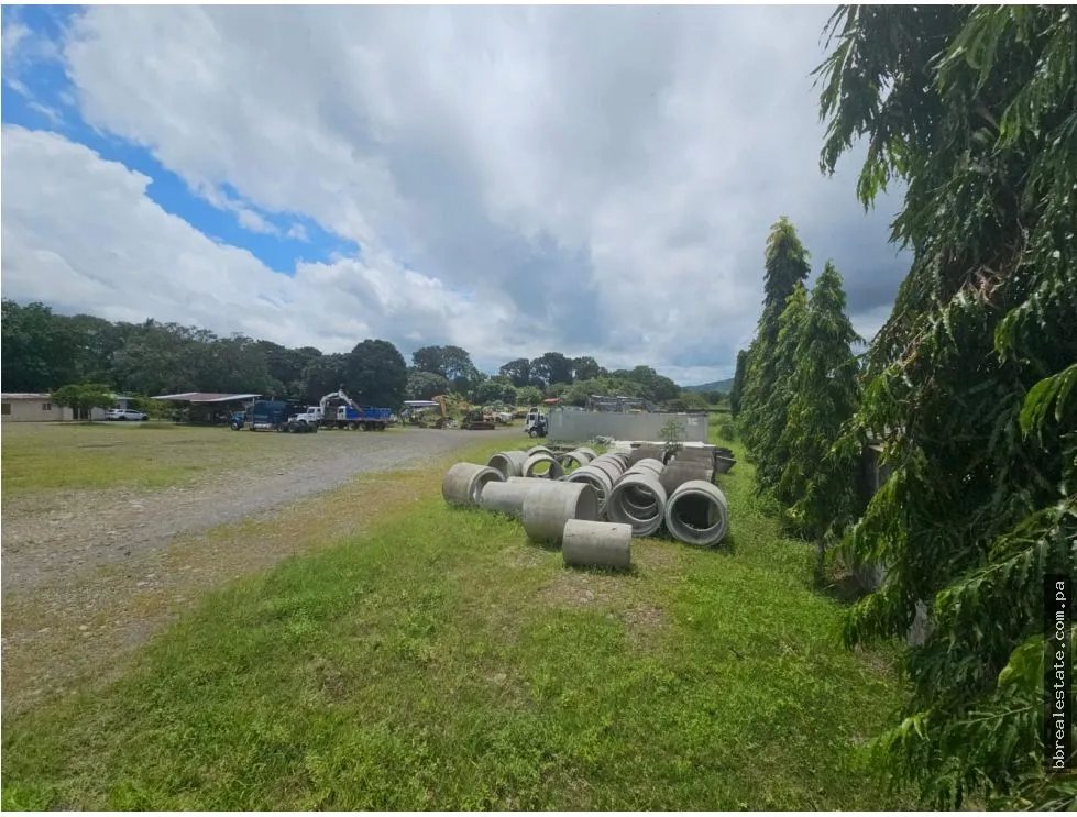 Commercial Lot for sale in Chiriqui