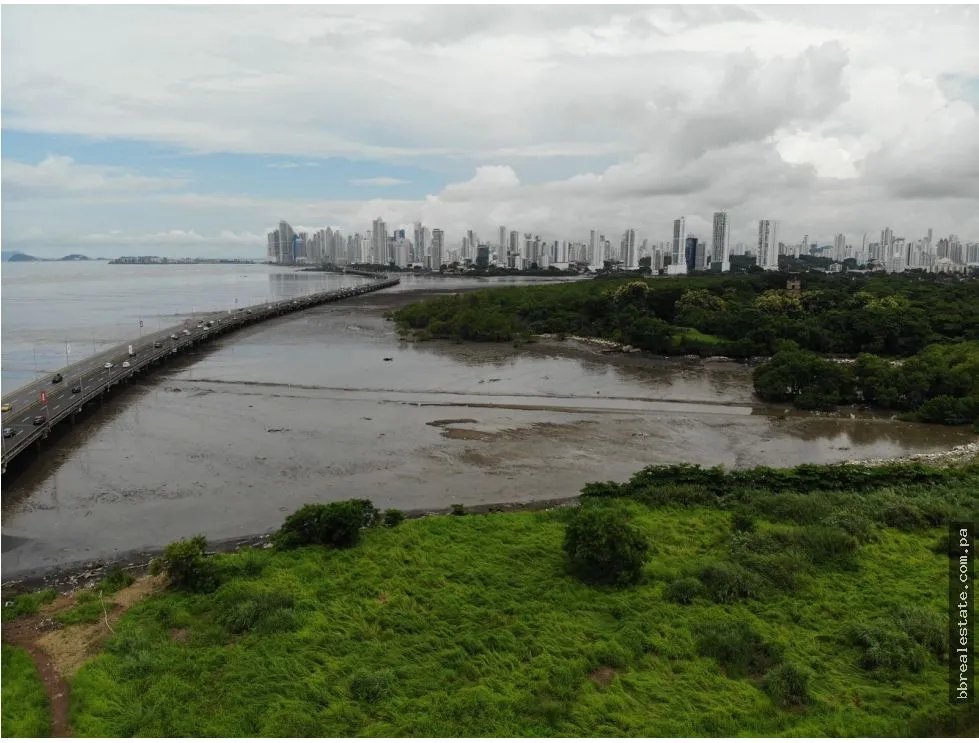 Venta de terreno en  Costa del Este, Primera línea al mar