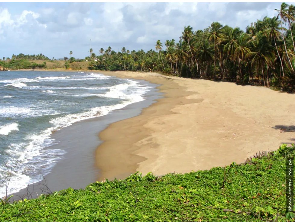 Building Lot for sale in Colon