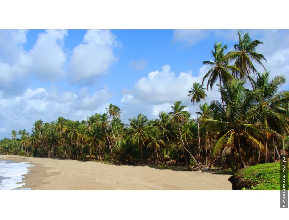 Building Lot for sale in Colon