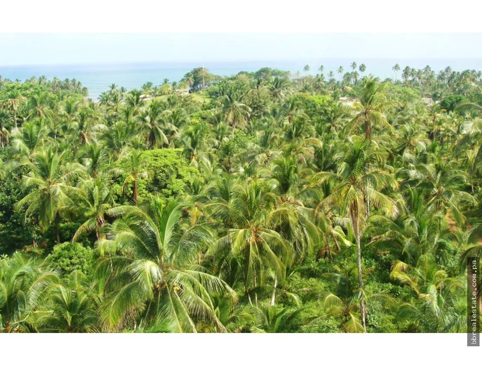 Venta de terreno de playa, Colón Costa Abajo Platanal
