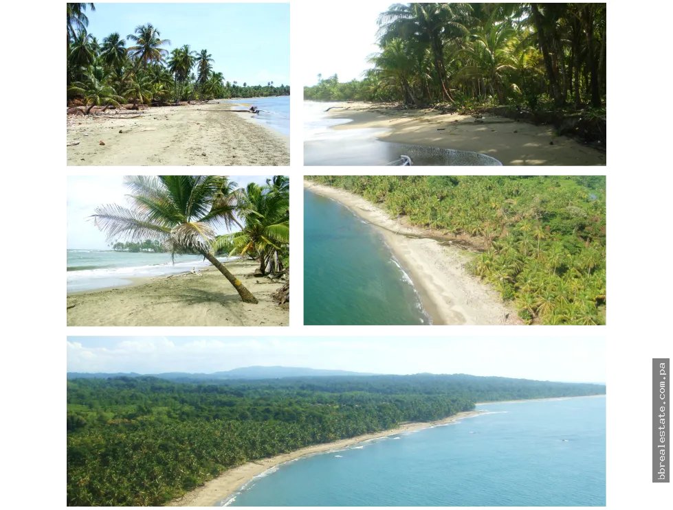 Venta de terreno de playa, Colón Costa Abajo Platanal