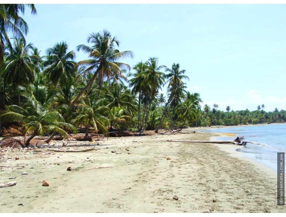 Venta de terreno de playa, Colón Costa Abajo Platanal