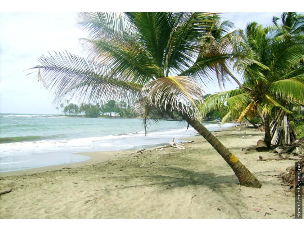 Venta de terreno de playa, Colón Costa Abajo Platanal