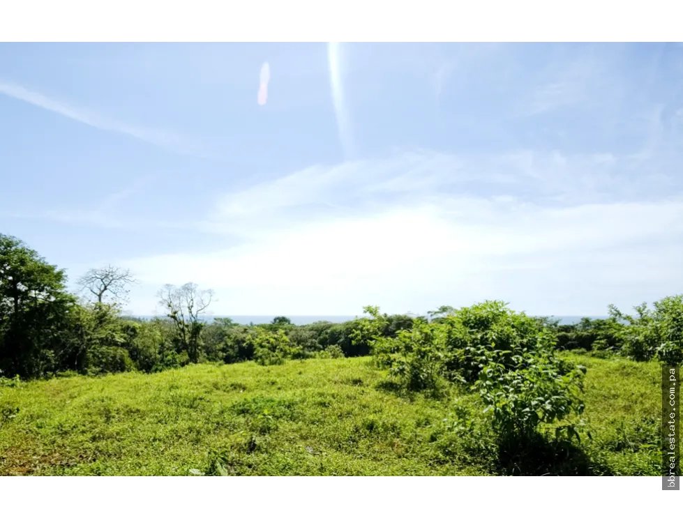 Venta de terreno de playa, Colón Costa Abajo Platanal