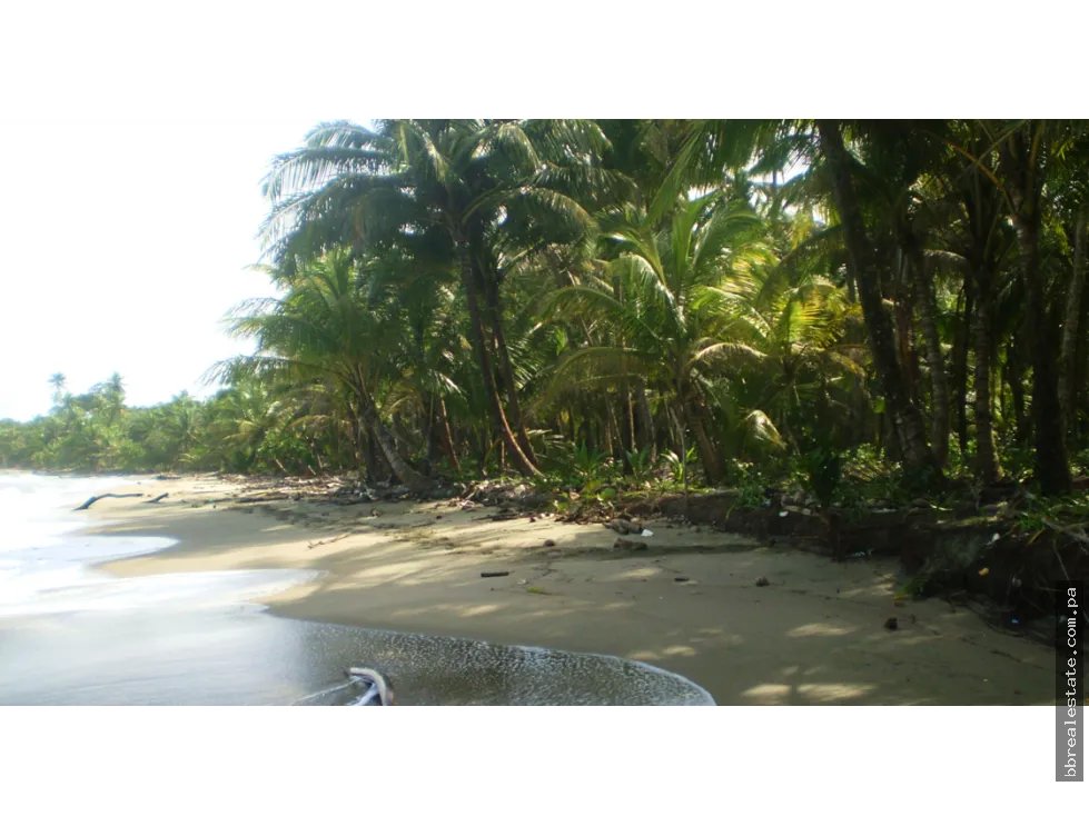 Venta de terreno de playa, Colón Costa Abajo Platanal