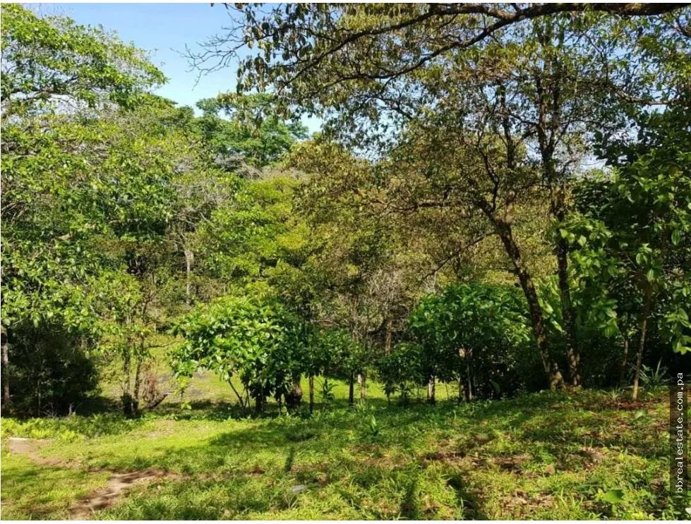 Venta de Terreno en Bocas del Toro