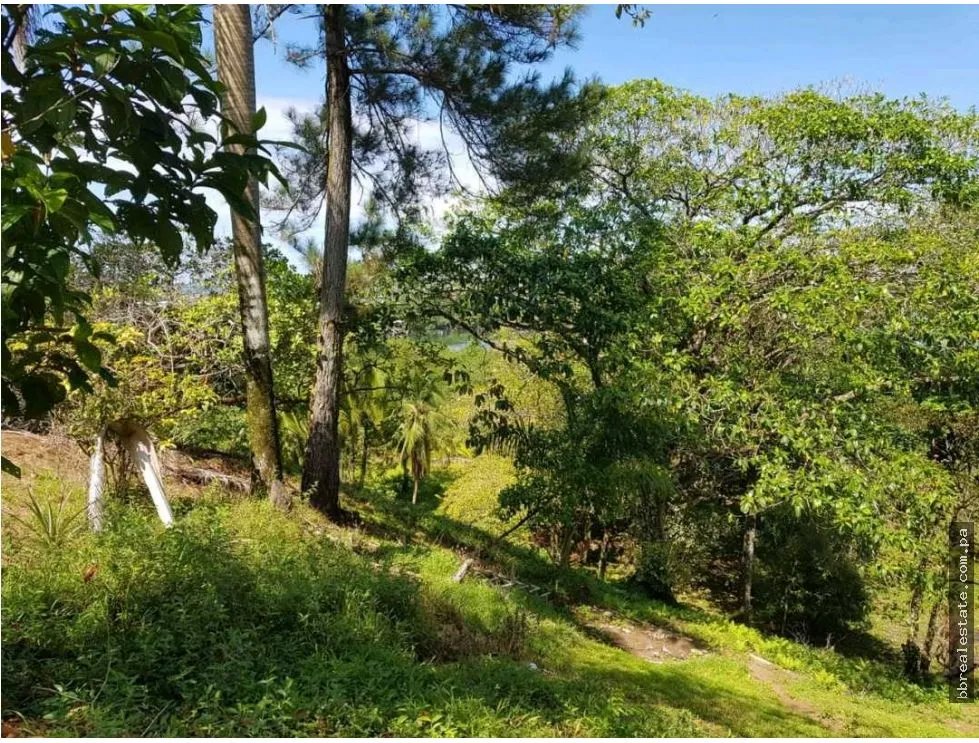 Venta de Terreno en Bocas del Toro