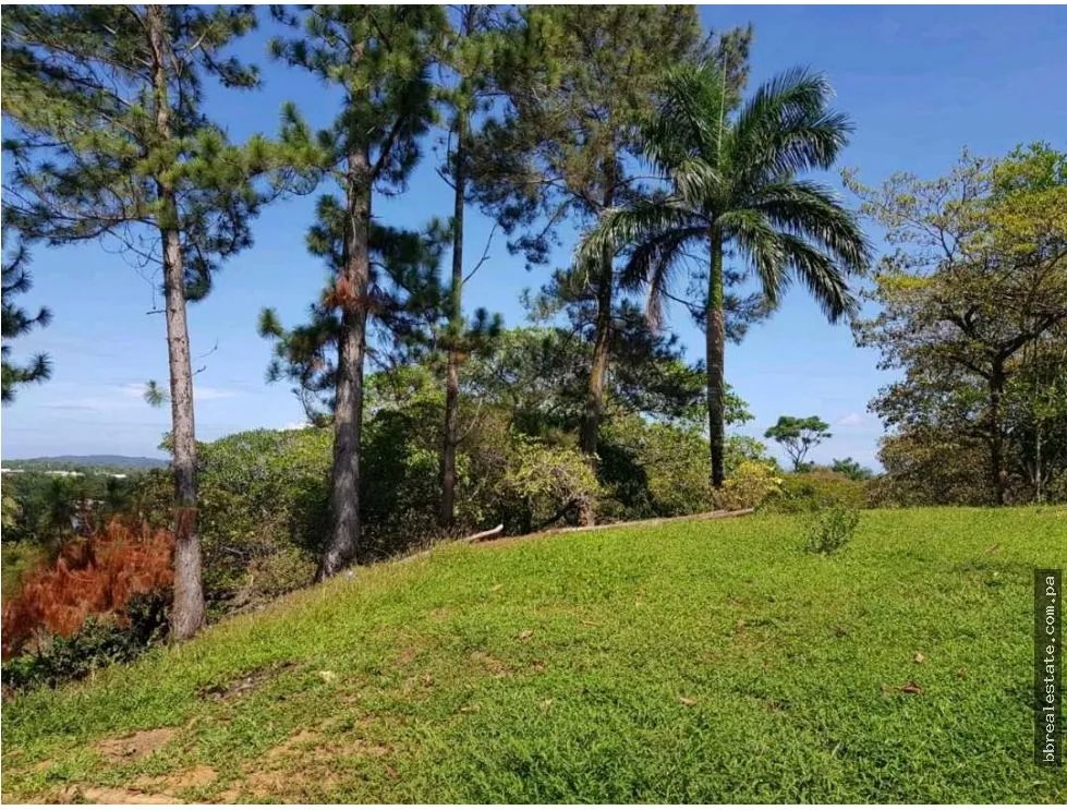 Venta de Terreno en Bocas del Toro