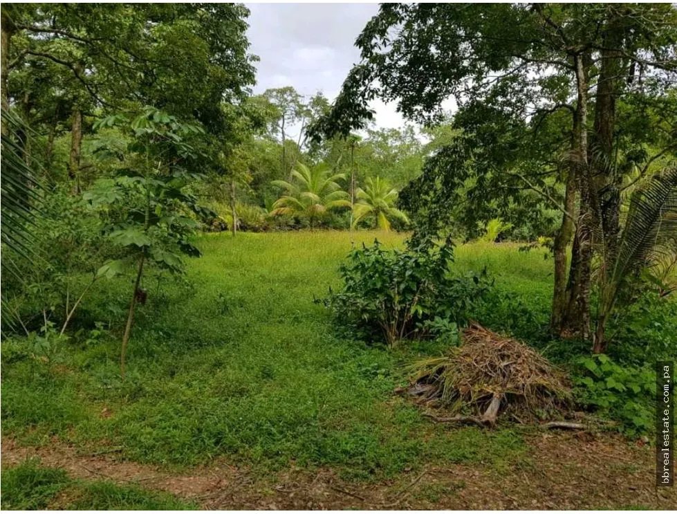 Venta de Terreno en Bocas del Toro