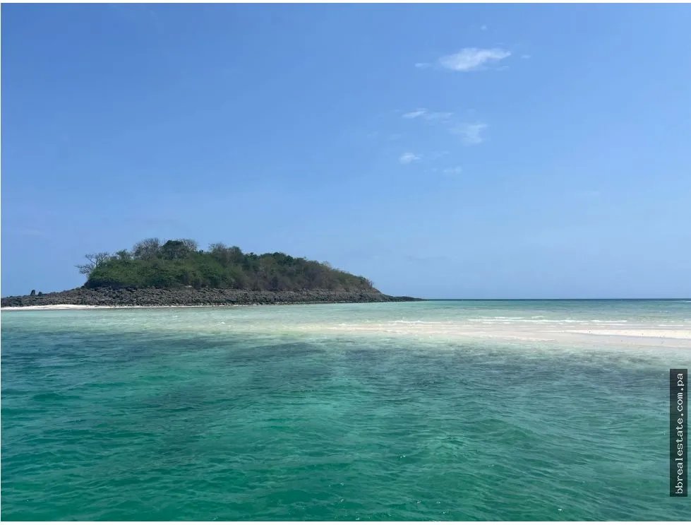 Venta de isla Archipiélago de las Perlas, Contadora