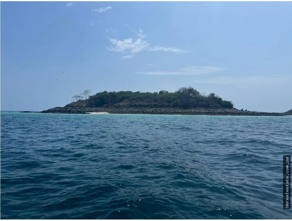 Venta de isla Archipiélago de las Perlas, Contadora