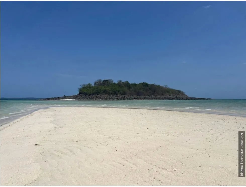 Venta de isla Archipiélago de las Perlas, Contadora