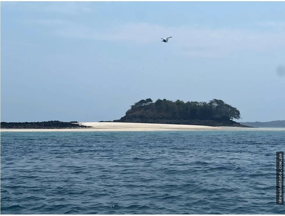 Venta de isla Archipiélago de las Perlas, Contadora