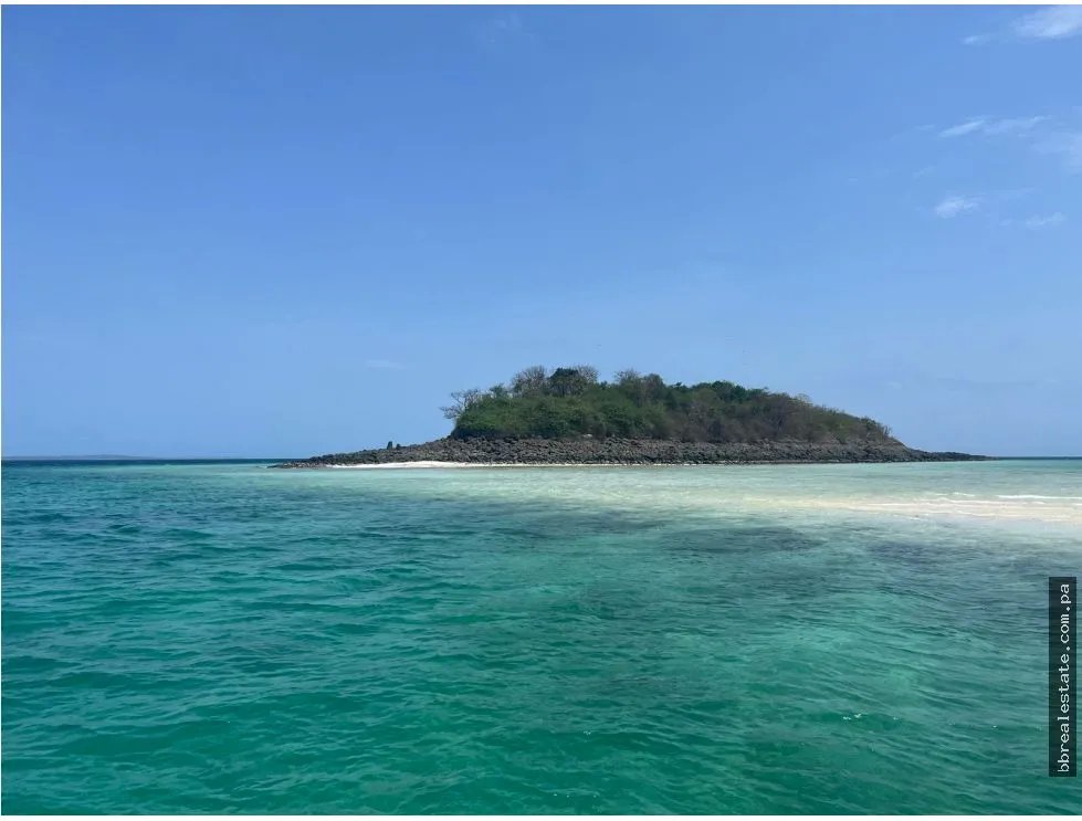 Venta de isla Archipiélago de las Perlas, Contadora