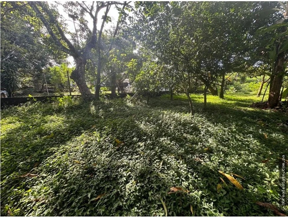 Building Lot for sale in David