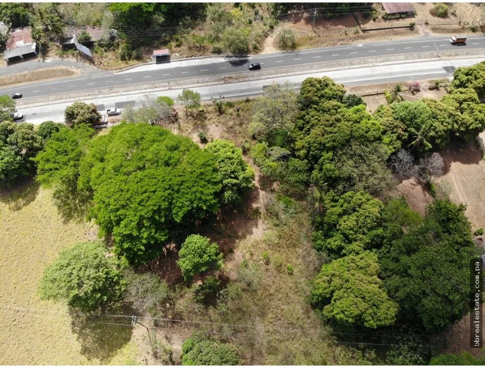 Building Lot for sale in Capira