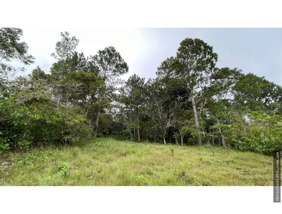 SE VENDE CASA DE CAMPO EN ALTOS DE CAMPANA