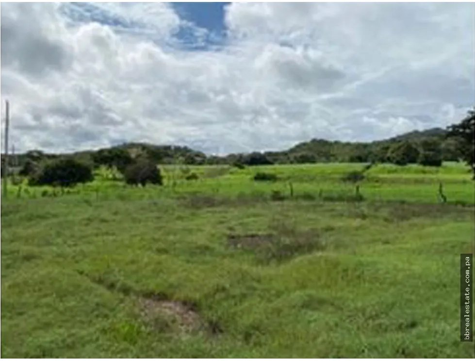 Se vende Finca en Rio Grande, Penonome
