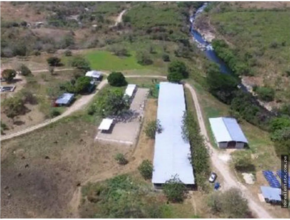 Se vende Finca en Rio Grande, Penonome