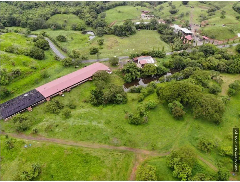 VENTA FINCA EN VERAGUAS PONUGA, LA MARIA