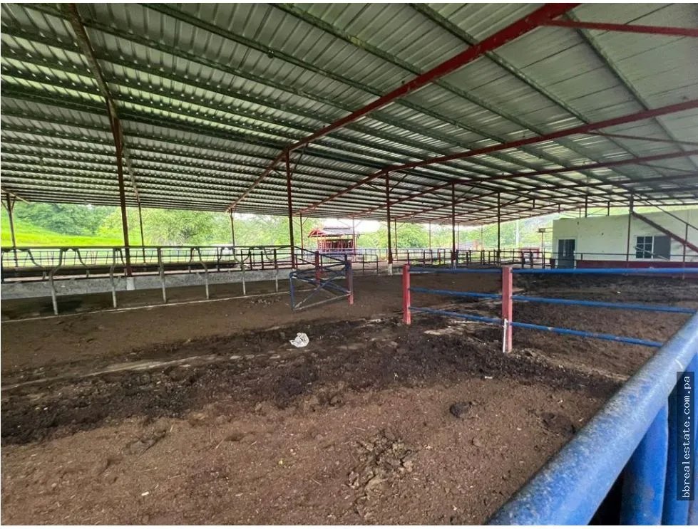 VENTA FINCA EN VERAGUAS PONUGA, LA MARIA