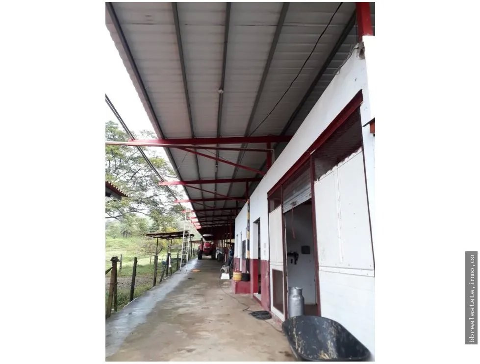 VENTA FINCA EN VERAGUAS PONUGA, LA MARIA