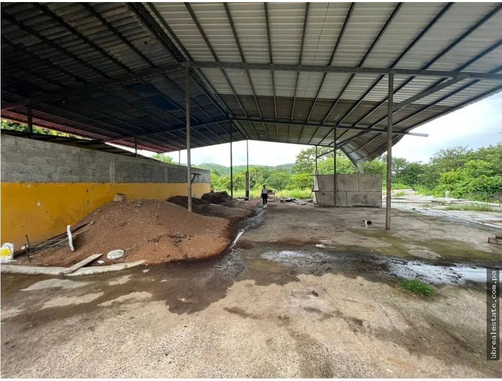 VENTA FINCA EN VERAGUAS PONUGA, LA MARIA