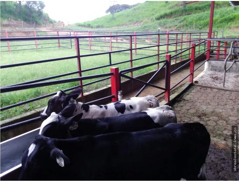 VENTA FINCA EN VERAGUAS PONUGA, LA MARIA