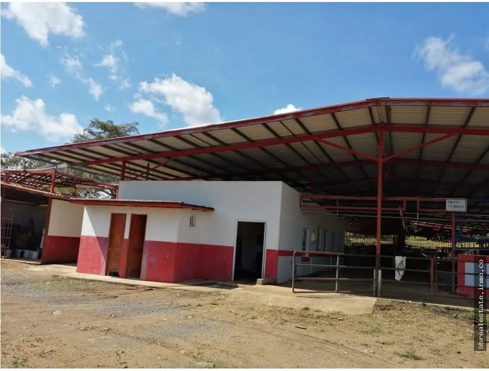 VENTA FINCA EN VERAGUAS PONUGA, LA MARIA