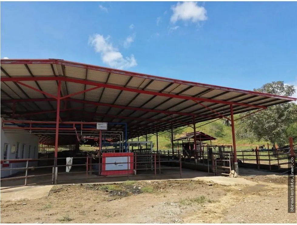 VENTA FINCA EN VERAGUAS PONUGA, LA MARIA