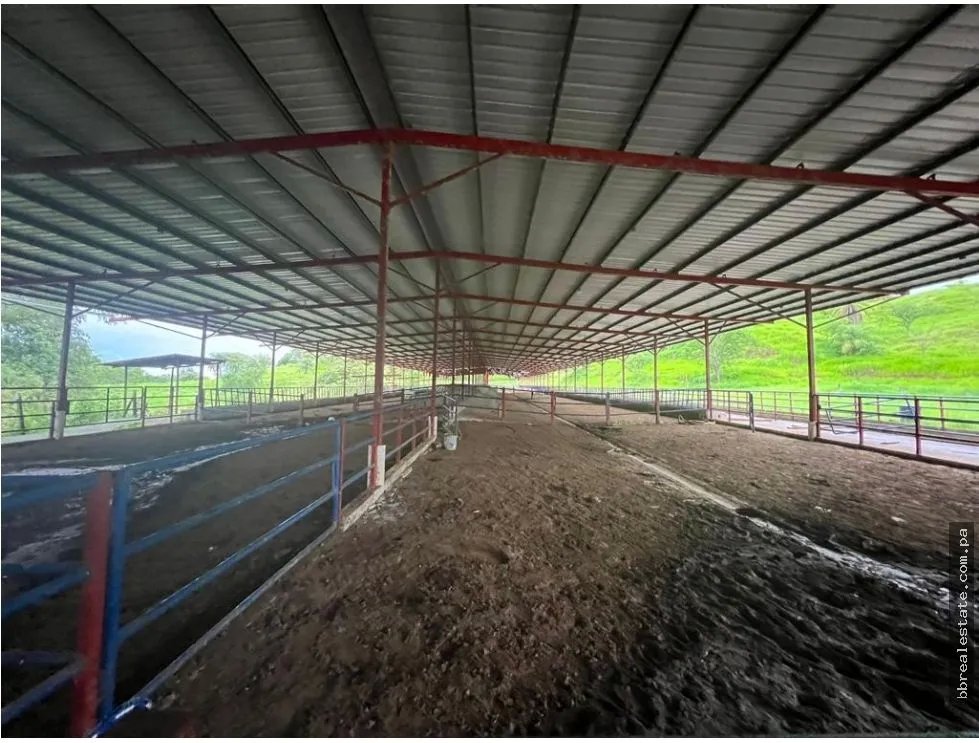 VENTA FINCA EN VERAGUAS PONUGA, LA MARIA